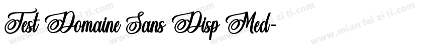 Test Domaine Sans Disp Med字体转换